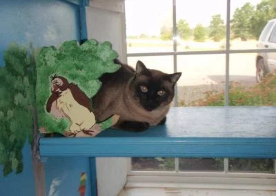Cat relaxing in a pleasing environment.