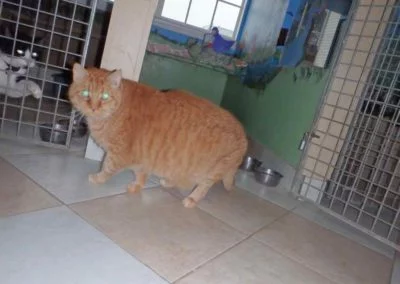 See ya, going for my nap